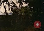 Image of Mobile Riverine Force Dong Tam Vietnam, 1968, second 31 stock footage video 65675060286