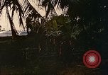 Image of Mobile Riverine Force Dong Tam Vietnam, 1968, second 32 stock footage video 65675060286