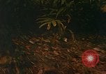 Image of Mobile Riverine Force Dong Tam Vietnam, 1968, second 41 stock footage video 65675060286