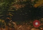 Image of Mobile Riverine Force Dong Tam Vietnam, 1968, second 42 stock footage video 65675060286