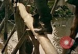 Image of Mobile Riverine Force Dong Tam Vietnam, 1968, second 62 stock footage video 65675060286