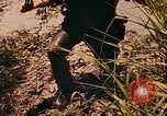 Image of Mobile Riverine Force Dong Tam Vietnam, 1968, second 18 stock footage video 65675060287