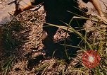 Image of Mobile Riverine Force Dong Tam Vietnam, 1968, second 19 stock footage video 65675060287