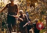 Image of Mobile Riverine Force Dong Tam Vietnam, 1968, second 29 stock footage video 65675060287