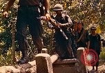 Image of Mobile Riverine Force Dong Tam Vietnam, 1968, second 30 stock footage video 65675060287