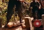 Image of Mobile Riverine Force Dong Tam Vietnam, 1968, second 31 stock footage video 65675060287