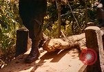 Image of Mobile Riverine Force Dong Tam Vietnam, 1968, second 32 stock footage video 65675060287