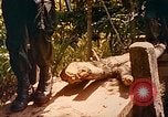 Image of Mobile Riverine Force Dong Tam Vietnam, 1968, second 33 stock footage video 65675060287