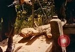 Image of Mobile Riverine Force Dong Tam Vietnam, 1968, second 34 stock footage video 65675060287