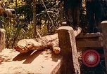 Image of Mobile Riverine Force Dong Tam Vietnam, 1968, second 35 stock footage video 65675060287