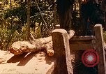 Image of Mobile Riverine Force Dong Tam Vietnam, 1968, second 36 stock footage video 65675060287