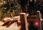 Image of Mobile Riverine Force Dong Tam Vietnam, 1968, second 37 stock footage video 65675060287