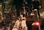 Image of Mobile Riverine Force Dong Tam Vietnam, 1968, second 43 stock footage video 65675060287