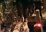 Image of Mobile Riverine Force Dong Tam Vietnam, 1968, second 44 stock footage video 65675060287