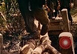 Image of Mobile Riverine Force Dong Tam Vietnam, 1968, second 46 stock footage video 65675060287