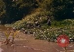 Image of Mobile Riverine Force Dong Tam Vietnam, 1968, second 52 stock footage video 65675060287