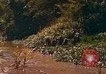 Image of Mobile Riverine Force Dong Tam Vietnam, 1968, second 57 stock footage video 65675060287