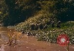 Image of Mobile Riverine Force Dong Tam Vietnam, 1968, second 58 stock footage video 65675060287