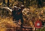 Image of Mobile Riverine Force Dong Tam Vietnam, 1968, second 60 stock footage video 65675060287