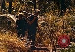 Image of Mobile Riverine Force Dong Tam Vietnam, 1968, second 61 stock footage video 65675060287
