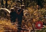 Image of Mobile Riverine Force Dong Tam Vietnam, 1968, second 62 stock footage video 65675060287