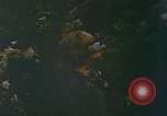 Image of soldiers of Mobile Riverine Force Dong Tam Vietnam, 1968, second 38 stock footage video 65675060289
