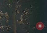 Image of soldiers of Mobile Riverine Force Dong Tam Vietnam, 1968, second 41 stock footage video 65675060289