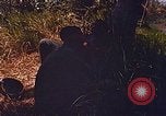 Immagine di Mobile forza fluviale soldati Dong Vietnam Tam, 1968, secondo 8 filmato di repertorio 65675060290