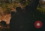 Immagine di Mobile forza fluviale soldati Dong Vietnam Tam, 1968, secondo 9 filmato di repertorio 65675060290