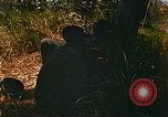 Immagine di Mobile forza fluviale soldati Dong Vietnam Tam, 1968, secondo 10 filmato di repertorio 65675060290