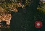 Immagine di Mobile forza fluviale soldati Dong Vietnam Tam, 1968, secondo 11 filmato di repertorio 65675060290
