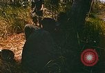 Immagine di Mobile forza fluviale soldati Dong Vietnam Tam, 1968, secondo 13 filmato di repertorio 65675060290