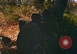 Immagine di Mobile forza fluviale soldati Dong Vietnam Tam, 1968, secondo 17 filmato di repertorio 65675060290