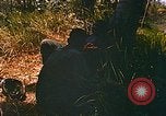 Immagine di Mobile forza fluviale soldati Dong Vietnam Tam, 1968, secondo 18 filmato di repertorio 65675060290