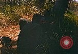 Immagine di Mobile forza fluviale soldati Dong Vietnam Tam, 1968, secondo 19 filmato di repertorio 65675060290