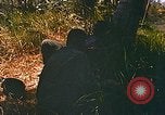 Immagine di Mobile forza fluviale soldati Dong Vietnam Tam, 1968, secondo 20 filmato di repertorio 65675060290