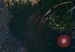 Immagine di Mobile forza fluviale soldati Dong Vietnam Tam, 1968, secondo 54 filmato di repertorio 65675060290