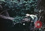 Standbild Vereinigten Staaten Truppen South Pacific Ocean, 1944, aus Sekunde 37 historischem Filmmaterial Videoclip 65675060295