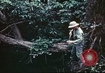 Standbild Vereinigten Staaten Truppen South Pacific Ocean, 1944, aus Sekunde 38 historischem Filmmaterial Videoclip 65675060295