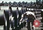 Standbild Vereinigten Staaten Truppen South Pacific Ocean, 1944, aus Sekunde 52 historischem Filmmaterial Videoclip 65675060295