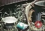 Standbild Vereinigten Staaten Truppen South Pacific Ocean, 1944, aus Sekunde 58 historischem Filmmaterial Videoclip 65675060295
