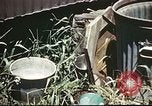 Standbild Vereinigten Staaten Truppen South Pacific Ocean, 1944, aus Sekunde 59 historischem Filmmaterial Videoclip 65675060295
