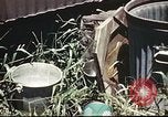 Standbild Vereinigten Staaten Truppen South Pacific Ocean, 1944, aus Sekunde 60 historischem Filmmaterial Videoclip 65675060295