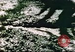 Standbild USA Soldaten Europa, 1944, aus Sekunde 49 historischem Filmmaterial Videoclip 65675060298