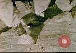 Standbild USA Soldaten Europa, 1944, aus Sekunde 55 historischem Filmmaterial Videoclip 65675060298
