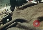 Immagine di Stati Uniti truppe Teatro pacifico, 1945, secondo 49 filmato di repertorio 65675060304