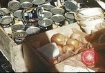 Immagine di Soldati statunitensi Pacific Ocean Theatre, 1945, secondo 12 filmato di repertorio 65675060307