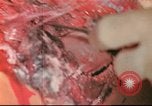 Image of United States soldiers United States USA, 1944, second 33 stock footage video 65675060314
