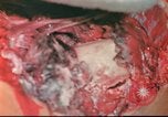 Image of United States soldiers United States USA, 1944, second 36 stock footage video 65675060314