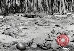 Standbild Marine Corps Pacific Theater, 1944, aus Sekunde 53 historischem Filmmaterial Videoclip 65675060320